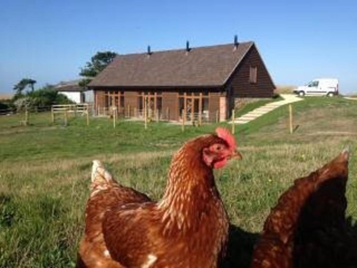 Poachers Hut - Captivating 1-Bed Cottage Shorwell Εξωτερικό φωτογραφία