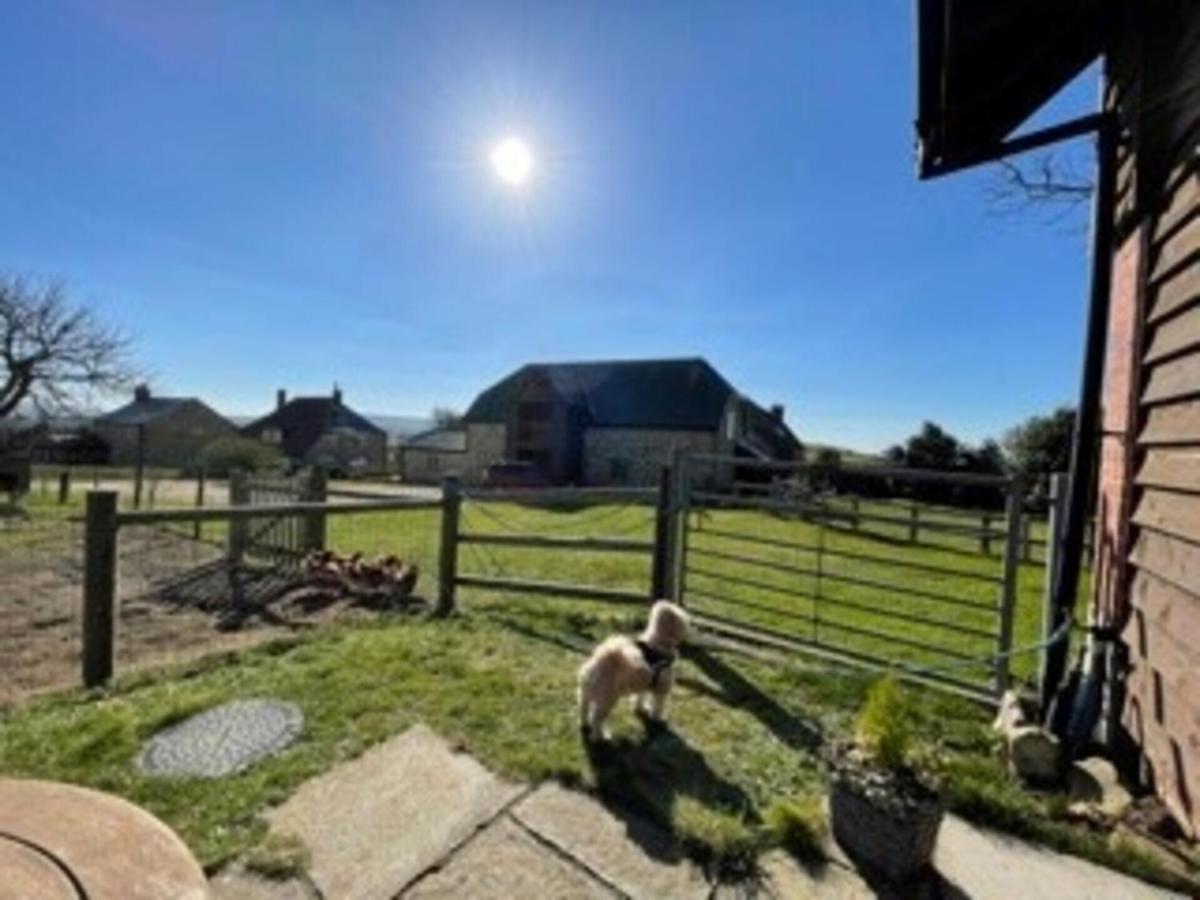 Poachers Hut - Captivating 1-Bed Cottage Shorwell Εξωτερικό φωτογραφία